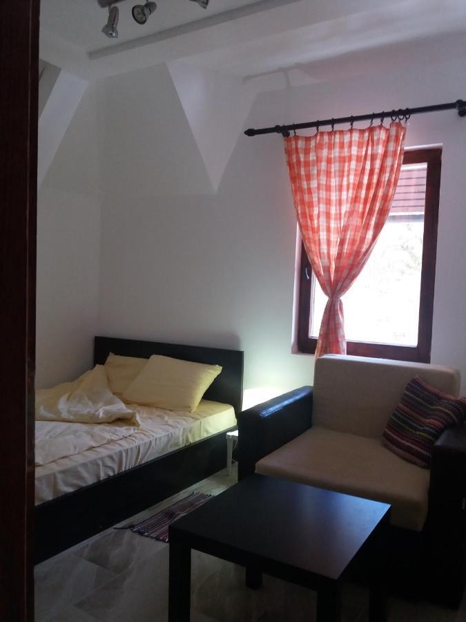 Apartments Dviletov Kutak コパオニク エクステリア 写真