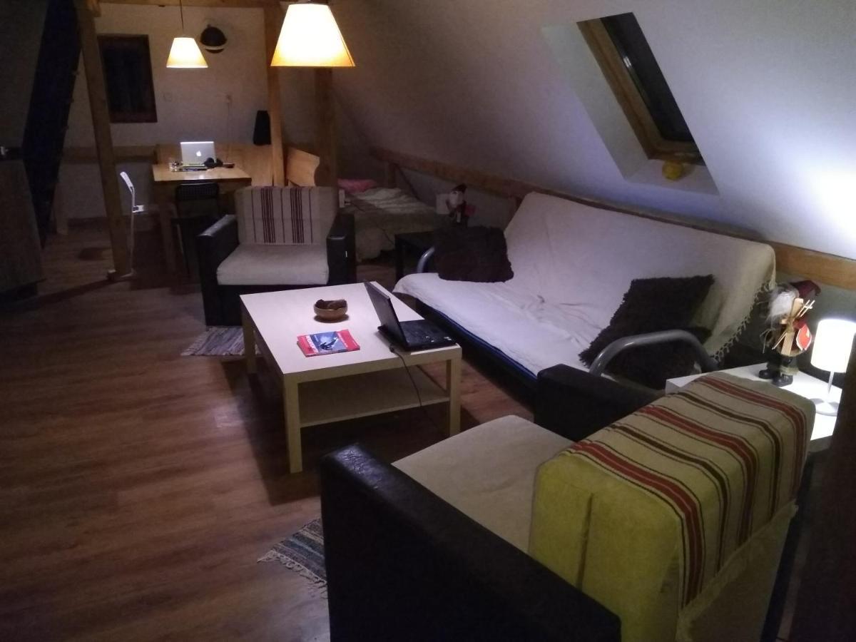 Apartments Dviletov Kutak コパオニク エクステリア 写真